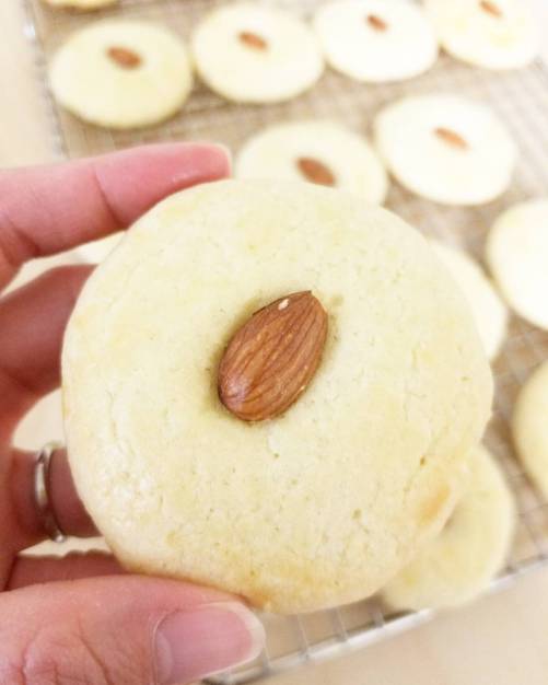 16403435_10105215801438933_7125545651816786784_o